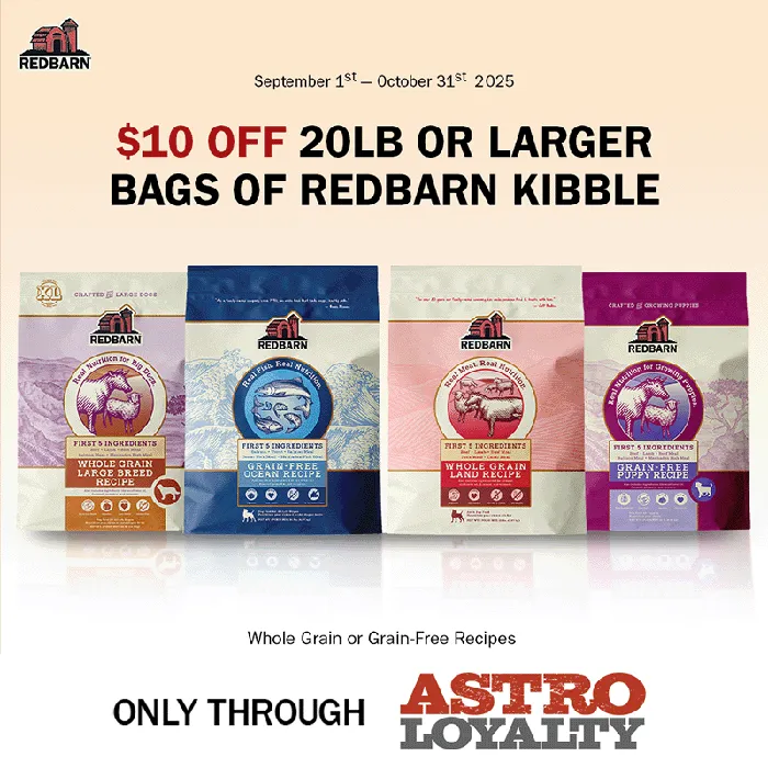 Promotion Image