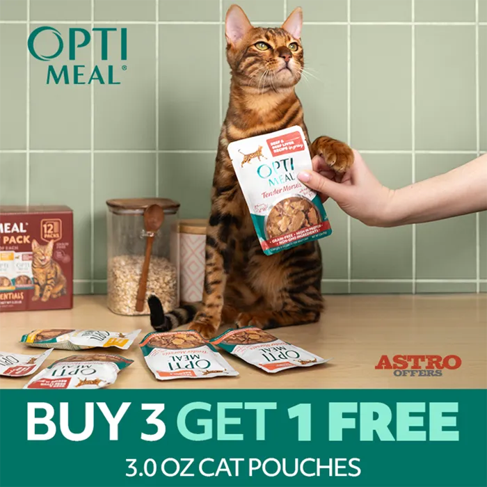 Promotion Image