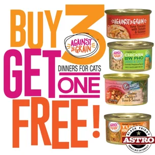 Against the Grain |…