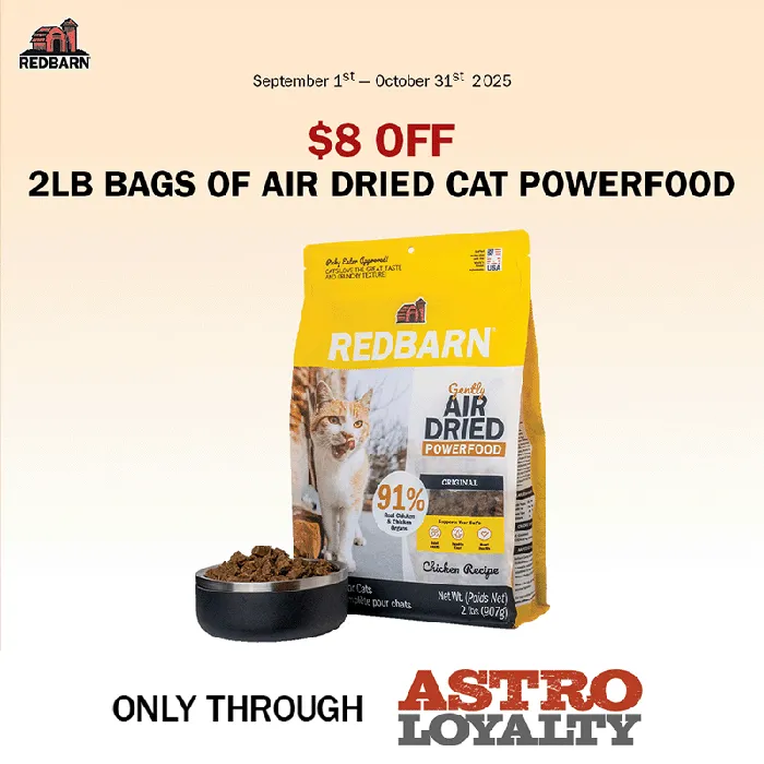 Promotion Image